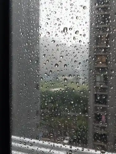 今天又是一个雨天,窗外的风景已经开始变得朦胧,视线里高耸的