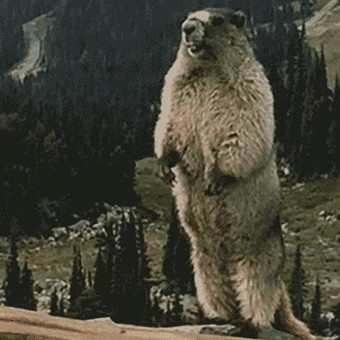 决定输赢的条件