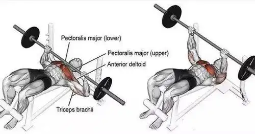 如何快速有效练出胸腹肌,来看这组图片.简单易行且立竿见影