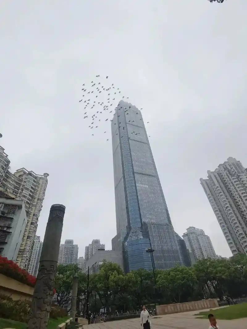 我在这里二三十年了,今天第一次拍照,以前是温州最高的一栋楼