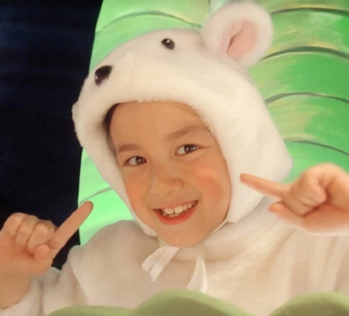 用ai修复后的吴磊童年照,不愧是吃可爱多长大的崽