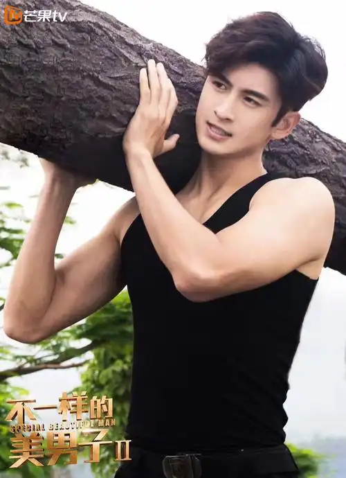 不一样的美男子Ⅱ
