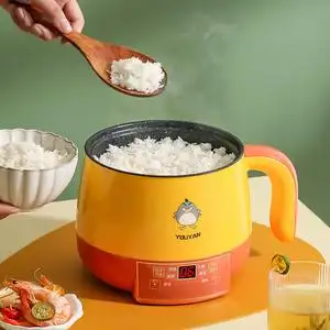 电饭锅小2人多功能家用小型1人单人蒸煮煲汤煮饭两用迷你小电饭煲