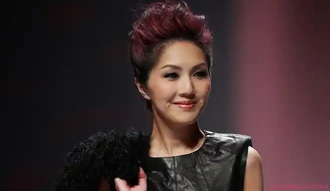 2007年,杨千嬅公开了自己的第三段恋情,与歌手丁子高交往,但是这对