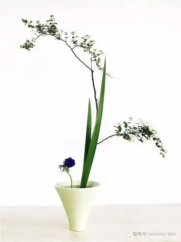 生け花|人与自然的日式花道