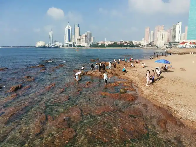 青岛游栈桥,第一浴场,海底世界,八大关,鲁迅公园,五四广场,奥林匹克