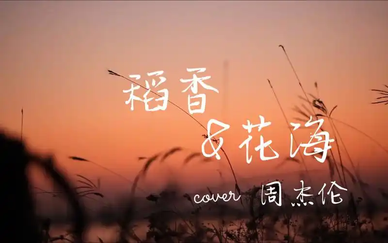 每日推荐| 《 稻香 》《花海》---周杰伦