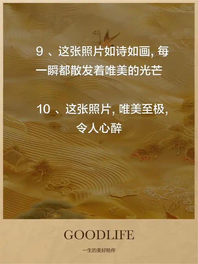 句子 1,这张照片宛如画作,充满艺术气息,令人陶醉 2,镜头下的瞬间,美