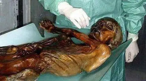 国外年轻夫妇去登山,发现一具骸骨,法医一查,尸检结果震撼世界