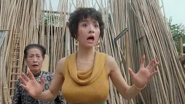 曾是香港第一波霸,跟邱淑贞比呢|王晶|叶子楣|娱乐圈|女明星_网易订阅