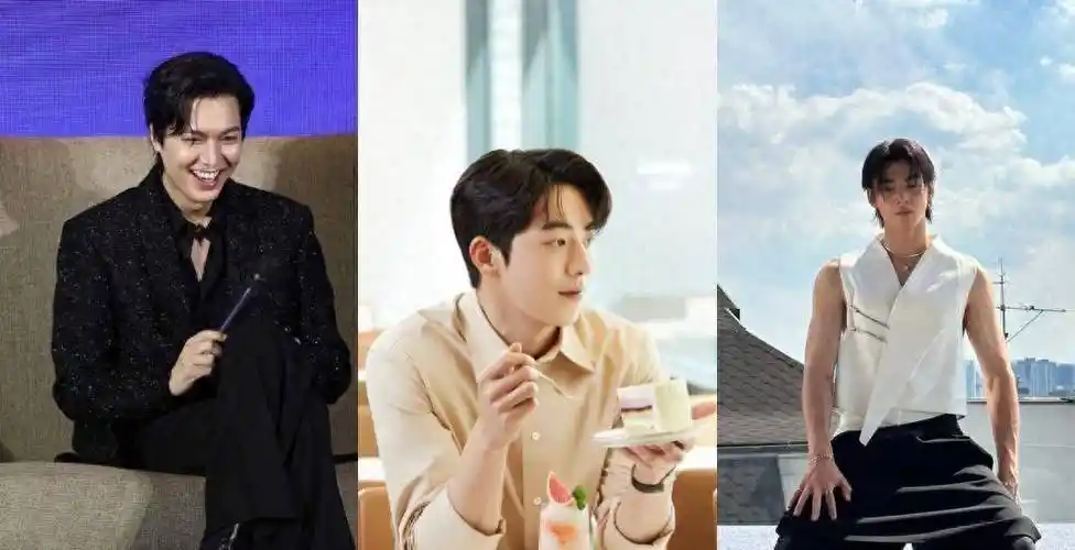 2024韩剧男星人气排行top10 第1名粉丝高达4200万_全球_观众_剧中