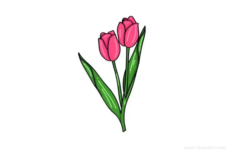 花朵郁金香怎么画花朵郁金香简笔画步骤图