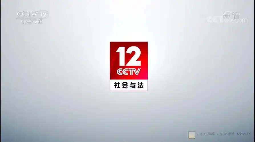 中国内地大陆央视社会与法频道台徽id2019