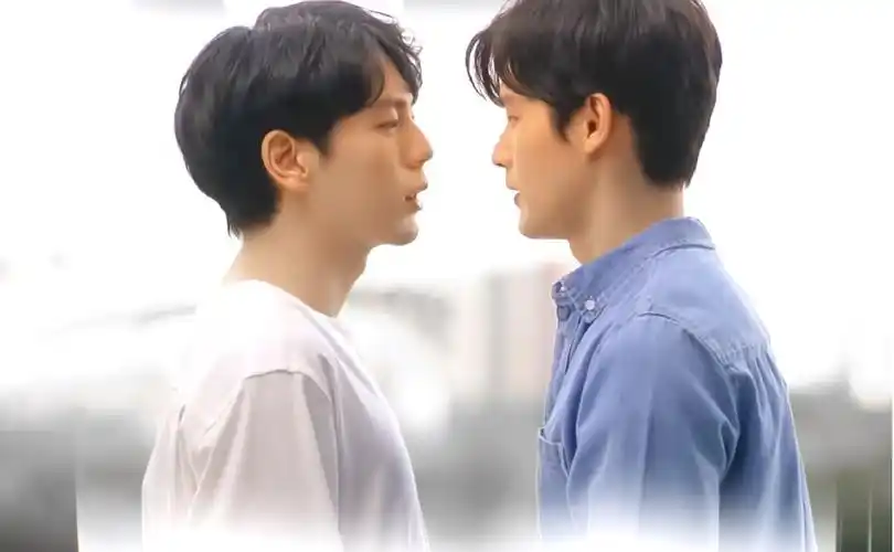 柳书生的婚礼高甜大结局亲上了