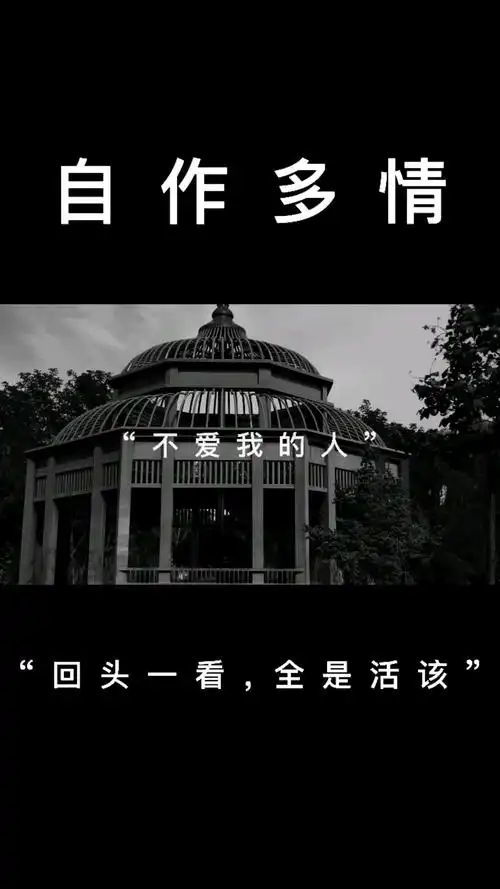 扎心情感文案我居然连一个不爱我的人都放不下