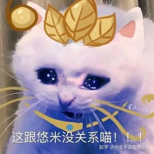 如何评价英雄联盟里的魔法猫咪悠米