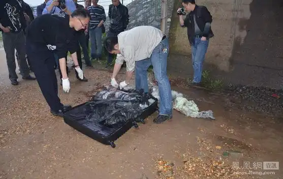 宾馆杀人碎尸案破获