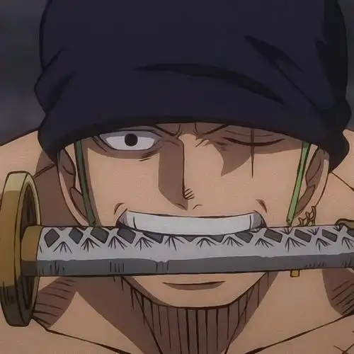 海贼王索隆索大超帅79