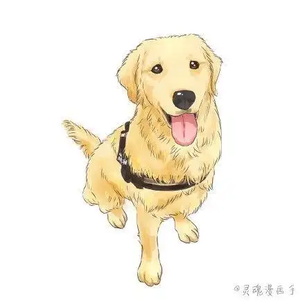 画只金毛画只喵~你们家宠物呢#萌宠##手绘,漫画,简笔卡通画##手绘