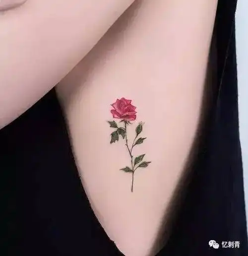 植物图案 很多女生会喜欢花花草草,小图案的纹身.
