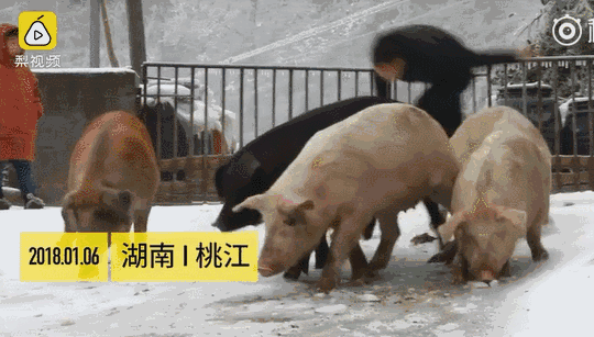 这么滑,完犊子!刹不住车了··"▽"第一次玩雪耶,好开心"