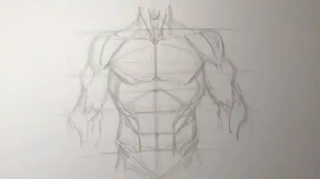 男性胸肌腹肌手臂肌肉简单的男性人物上身肌肉素描展示绘画教程