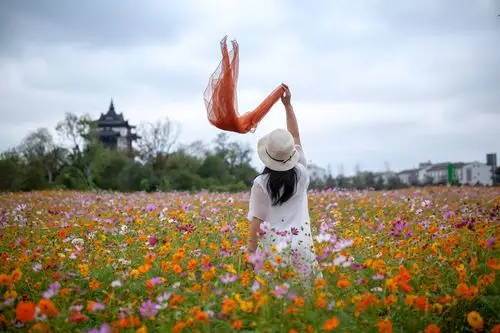 带你一起去花海