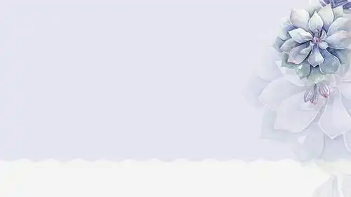 大气高端淡雅ppt背景图