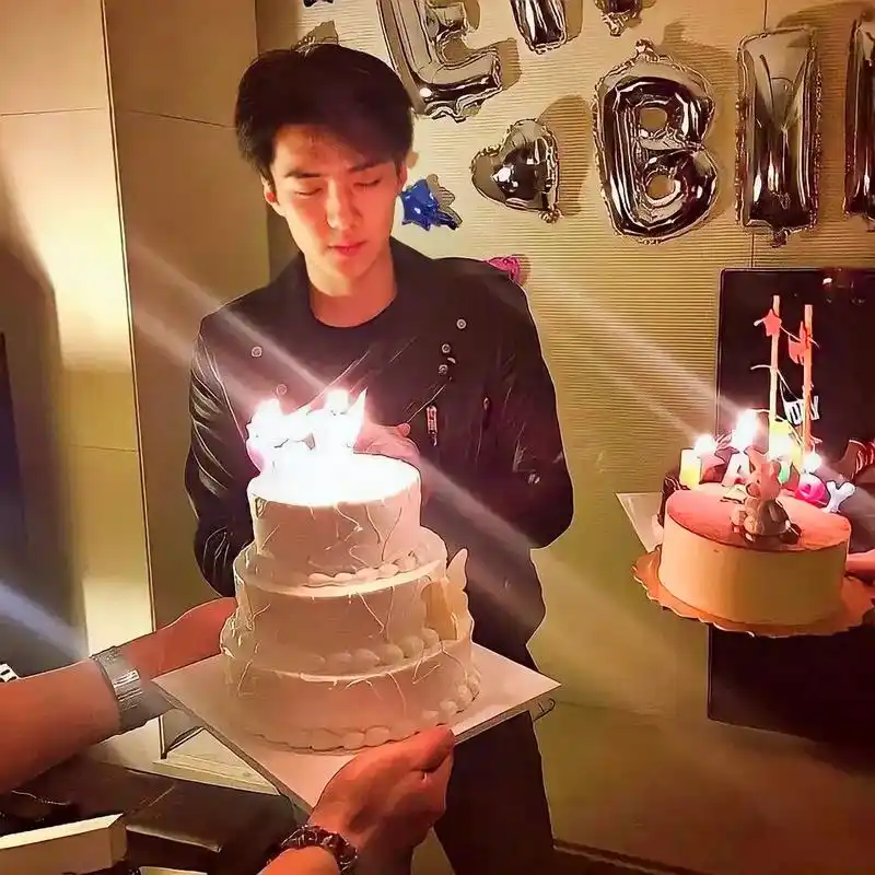 wuli世勋,生日快乐!#吴世勋 #我的爱豆 #爱丽 #爱豆 - 抖音