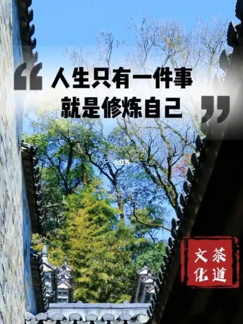 人生只有一件事,就是修炼自己,把自己活好