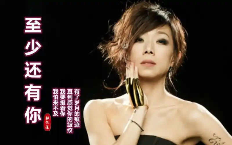 林忆莲《至少还有你》深情动听,也许我可以忘记,至少有你去珍惜_哔哩