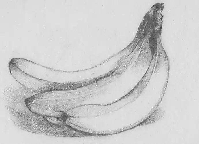 素描新手画画先学什么画 绘画基础训练每日怎么练