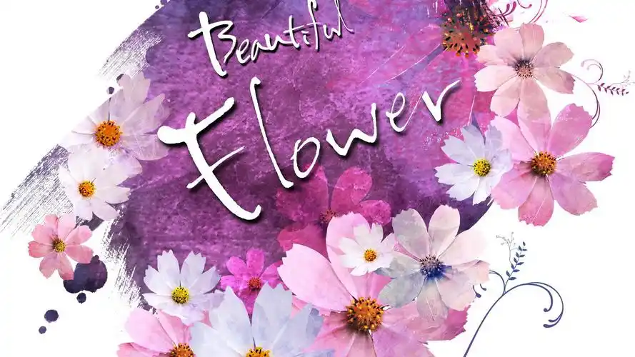 简约浪漫的花卉背景图片桌面壁纸二