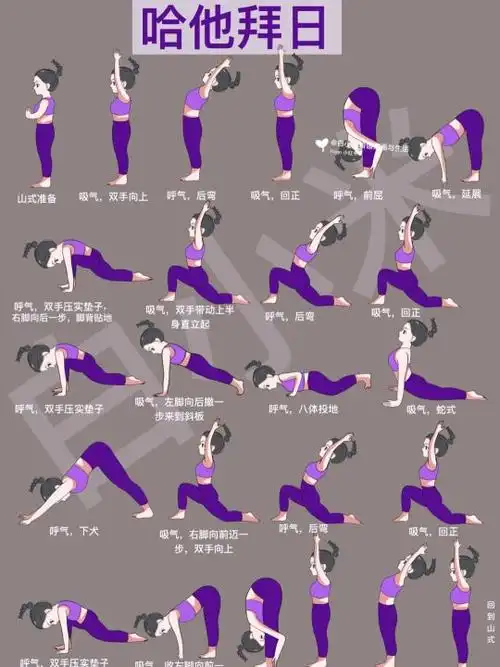 拜日式b瑜伽视频教程