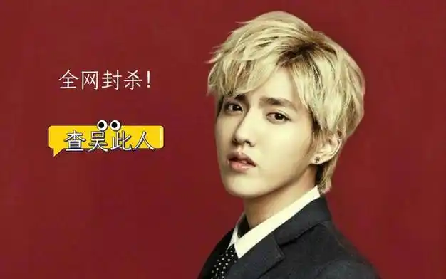 像之前的柯震东,吴亦凡,邓伦,杜汶泽,郑爽等等, 这几个人就是因为私德