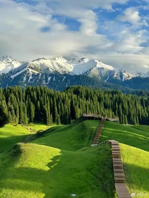 壁纸 草原 桌面 690_920 竖版 竖屏 手机