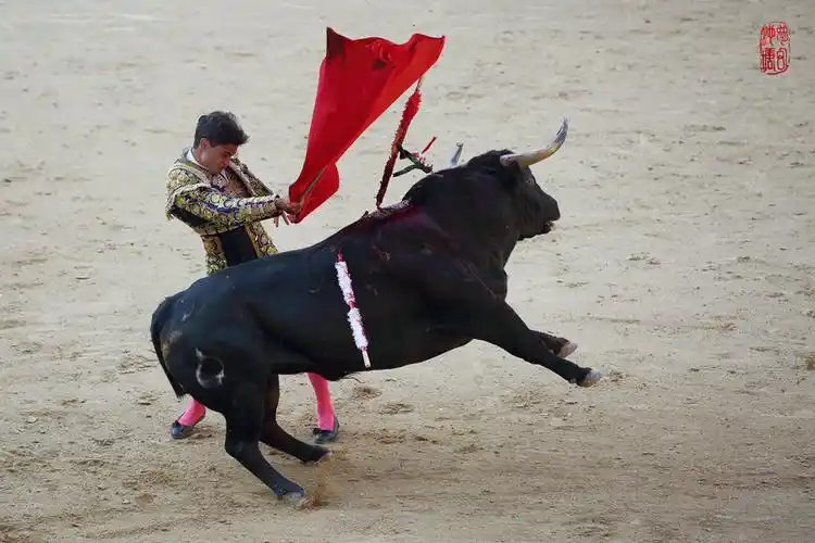 西班牙斗牛
