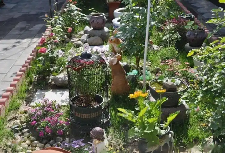 这样美的农家小院爱了爱了