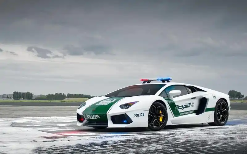 兰博基尼的aventador lp700-4,警车,迪拜 壁纸 - 1440x900