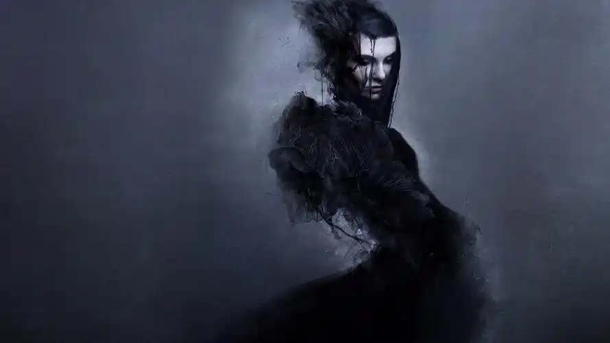 这张图上的文字是怎么加上去的,能帮忙做一张的加分