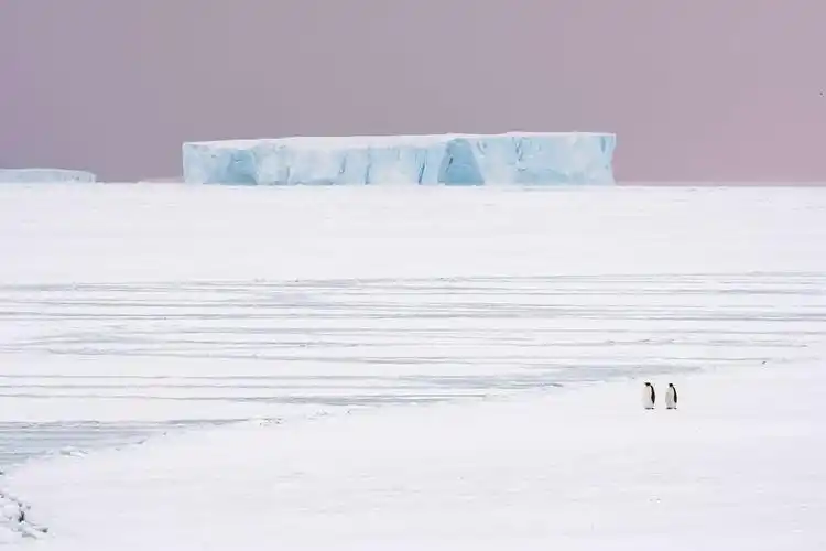 有没有在ipadpro11寸上很震撼的超高清壁纸
