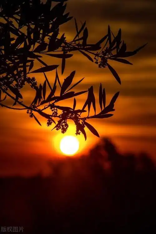 美丽的落日图片鉴赏