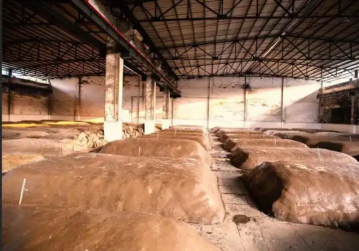 酒的窖池是个什么样的坑