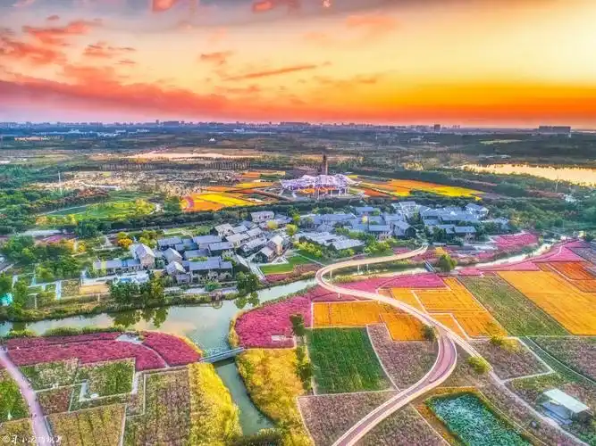 前几天去宿迁三台山森林公园游玩,在景区里发现这样一家民宿,一家被