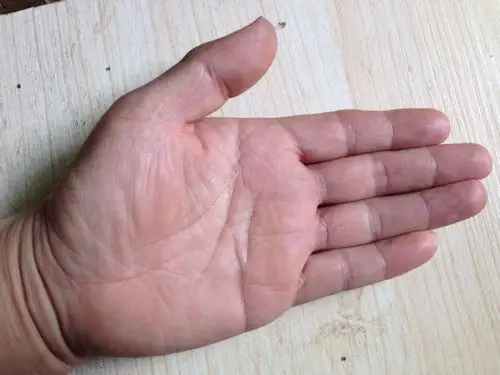 手相大师:求详解,男1987年正月初一生