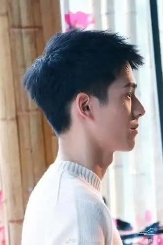 清风少年——刘昊然