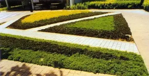 [分享]cad景观常资料下载