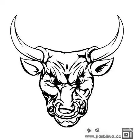 公牛牛头的样子特点和简单画法
