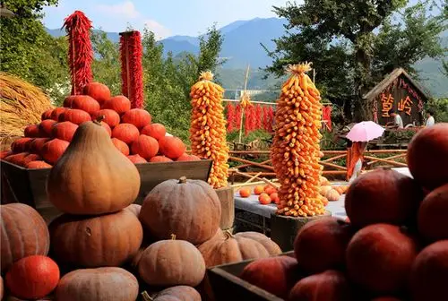江西婺源"晒秋人家"丰收图 色彩斑斓绚丽缤纷2019-10-27