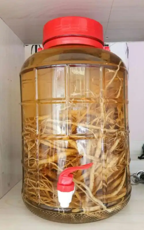 养生酒之:党参酒